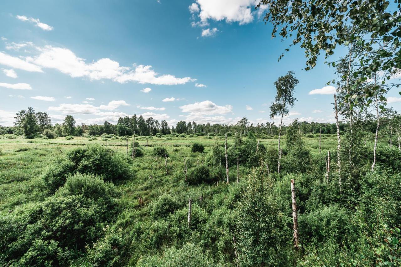 Maidla Nature Resort المظهر الخارجي الصورة